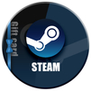 09-2024-steam-EN