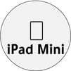 Ipad-Mini-1