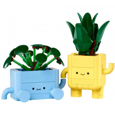 LEGO Botanicals Happy Plants Interlocking Bricks Set, 9 Years and Above