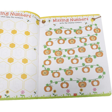 Maths Activity Book، Age 5+ (Dreamland)