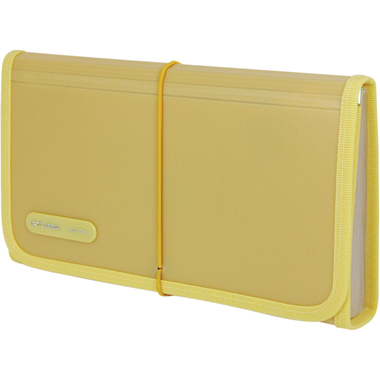 Data Bank Expanding File with Division, Coupon Size, 12 Pockets, Assorted Color