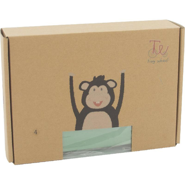 صندوق وجبة غداء، 4 أقسام، اخضر