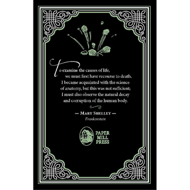 Frankenstein (Paper Mill Classics)