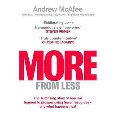 More From Less - The Surprising Story of How We Learned to Prosper Using Fewer Resources - and What Happens Next
