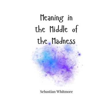 Meaning in the Middle of the Madness