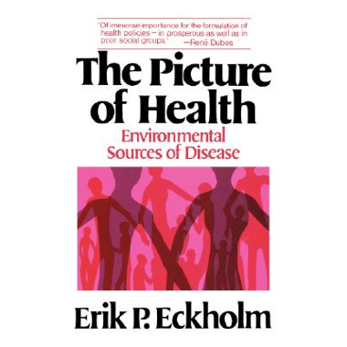 The Picture of Health: Environmental Sources of Disease