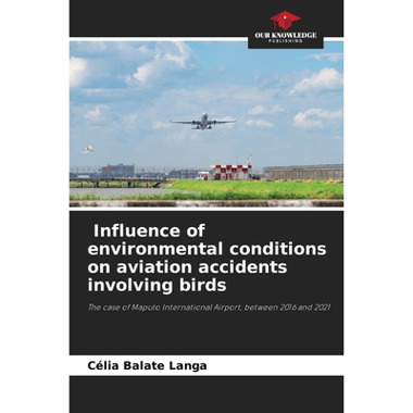 Influence of environmental conditions on aviation accidents involving birds