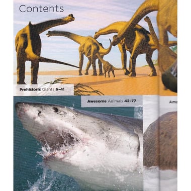 The Animal Book