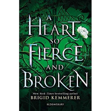 Heart so Fierce and Broken