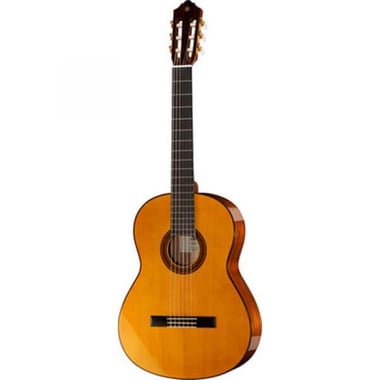 Yamaha Classical Guitar Beginner,Right-Handed,6,Kids,Brown