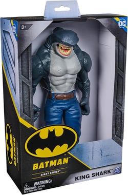 Spin Master Dc Comics Action Figure,3 Years And Above,Multicolor