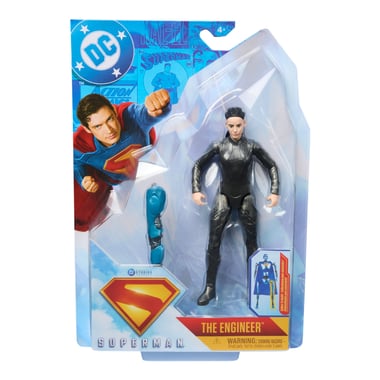 Spin Master Dc Comics Action Figure,4 Years And Above,Multicolor