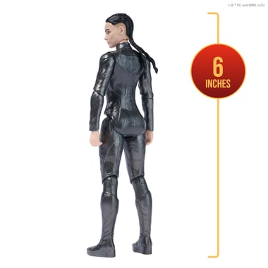 Spin Master Dc Comics Action Figure,4 Years And Above,Multicolor