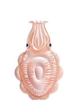 Intex Swim Float 3 Years And Above,Multicolor