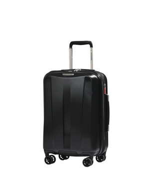 Ricardo Cabin Luggage Carry-On (19"),1 Piece,Black