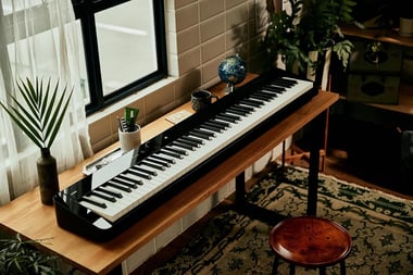 Casio 88 Keys Digital Piano,Advanced,All Ages,Black