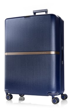 Samsonite Check-In Luggage Large (30"),1 Piece,Blue
