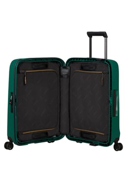 Samsonite Cabin Luggage (20"),1 Piece,Green