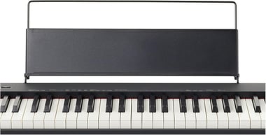 Casio 88 Keys Digital Piano,Beginner,All Ages,Black