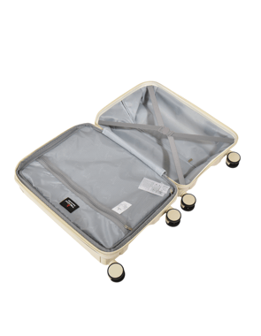Track Cabin Luggage (20"),1 Piece,Brown