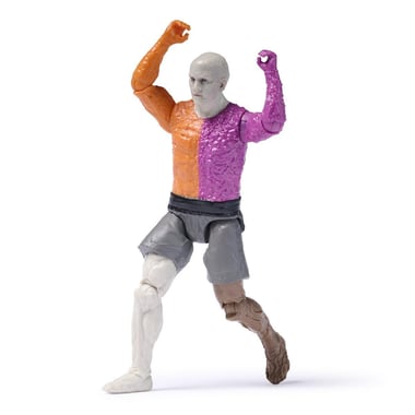 Spin Master Dc Comics Action Figure,4 Years And Above,Multicolor