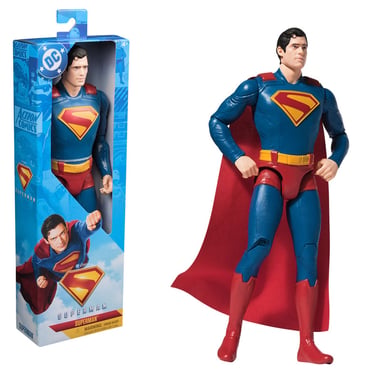 Spin Master Dc Comics Action Figure,4 Years And Above,Multicolor