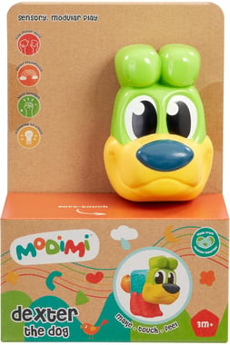 Create & Play Unisex Modimi Preschool Learning Activity Set,7 Years And Above