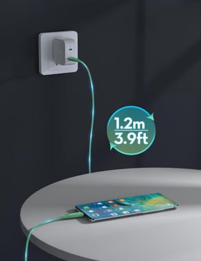 Ravpower Rp-Cb1037 Rp-Cb1037 Nylon Braided C-C Cable 60w 1.2m Teal Sync & Charge Cable,1.2 Cm,Green