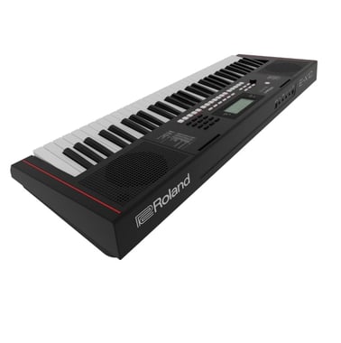 Roland 61 Keys Arranger Keyboard,Beginner,All Ages,Black