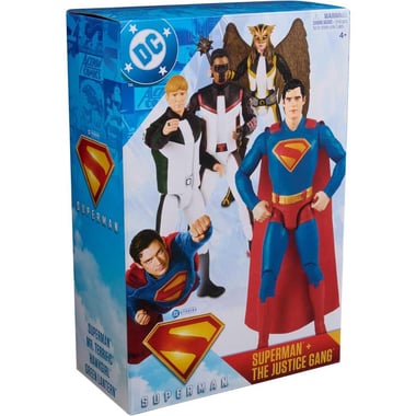 Spin Master Dc Comics Action Figure,4 Years And Above,Multicolor