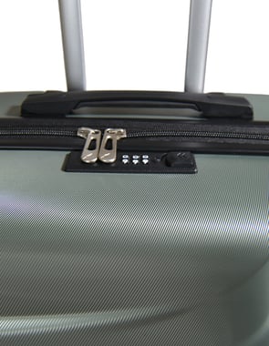Ricardo Check-In Luggage Large (28"),1 Piece,Green