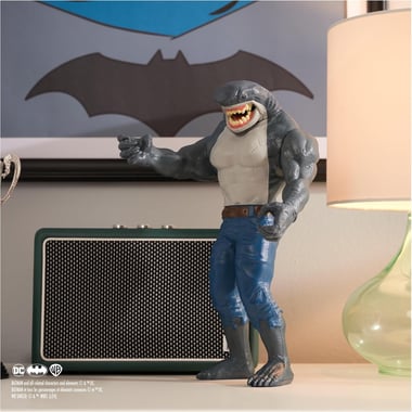 Spin Master Dc Comics Action Figure,3 Years And Above,Multicolor