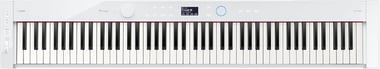 Casio 88 Keys Digital Piano,Advanced,All Ages,White