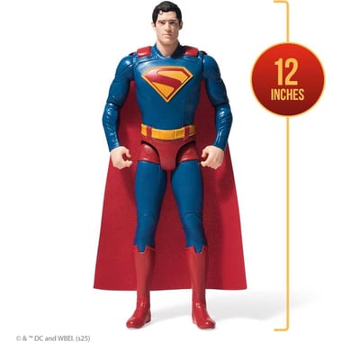 Spin Master Dc Comics Action Figure,4 Years And Above,Multicolor