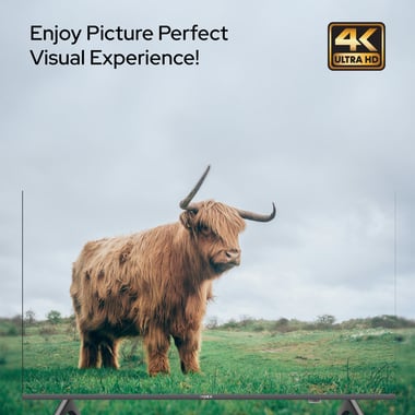 امبيكس 75 بوصة تلفزيون ذكي,دقة 4 كيه ليد,60 Hz,اسود,Impex Fiesta 75" 4 K Ultra HD Smart LED TV