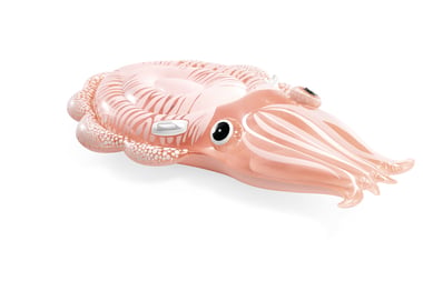 Intex Swim Float 3 Years And Above,Multicolor