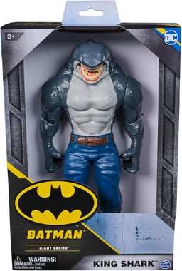 Spin Master Dc Comics Action Figure,3 Years And Above,Multicolor