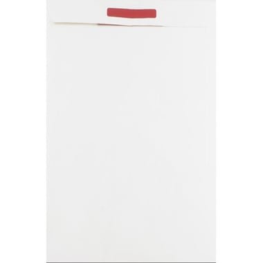 Roco Security Envelope, Tyvek/Tear-resistant Material, Adhesive, 12.00 in ( 30.48 cm )X 16.00 in ( 40.64 cm ), White