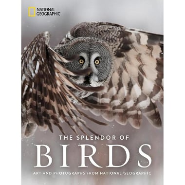 The Splendor of Birds - Art and Photographs fron Naltional Geographic