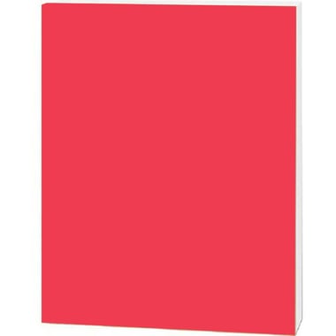 Roco Foam Board, Red/White Core, 100.00 cm ( 3.28 ft )X 70.00 cm ( 2.30 ft )