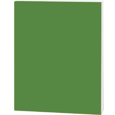 Roco Foam Board, Green/White Core, 100.00 cm ( 3.28 ft )X 70.00 cm ( 2.30 ft )
