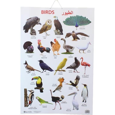 Dreamland Birds Chart, Arabic/English