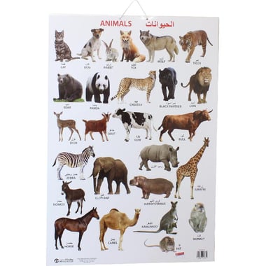 Dreamland Animals Chart, Arabic/English