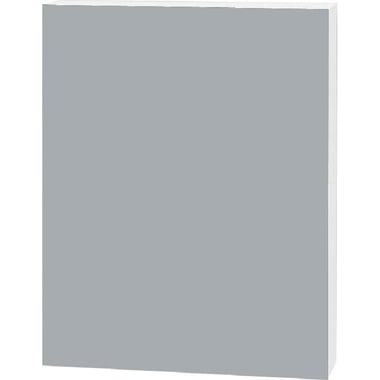 Elmer's Foam Board, Silver/White Core, 100.00 cm ( 3.28 ft )X 70.00 cm ( 2.30 ft )