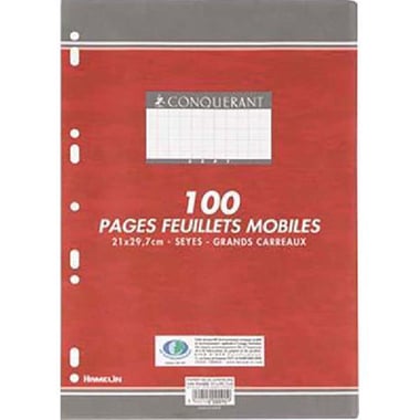 Conquerant Hamelin Seyes Looseleaf Refill Paper, A4, 200 Pages (100 Sheets)