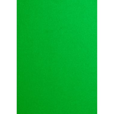 aعشر قطع ورق بالحجم القياسي 4، اخضر