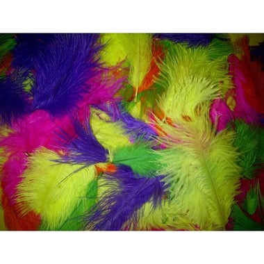 Feather 4 cm (30 Pieces), Craft Accessory, Assorted Color
