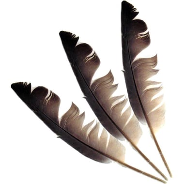 Feather 18 cm (3 Pieces), Craft Accessory, Assorted Color