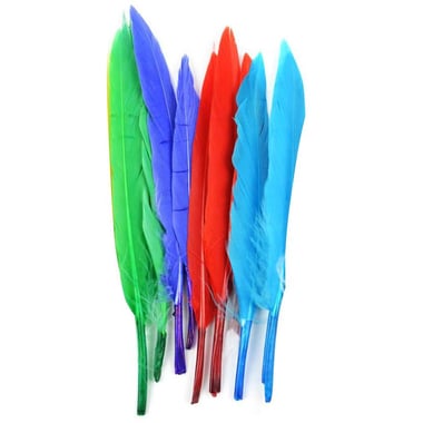 Feather 20 cm (12 Pieces), Craft Accessory, Assorted Color