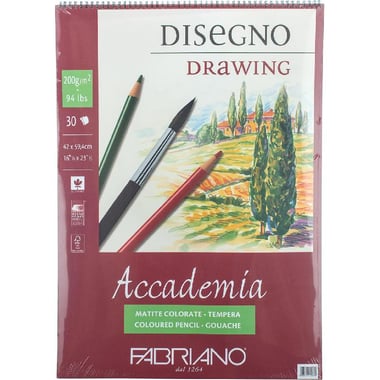 Fabriano Accademia Drawing Pad, Disegno, 200 gsm, White, A2 (42 X 59.4 cm), 30 Sheets